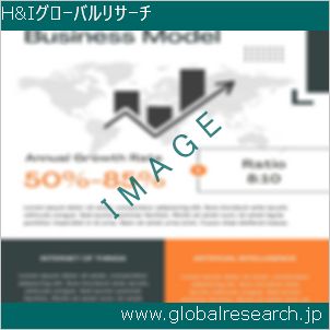 グローバルリサーチ調査レポートのイメージ